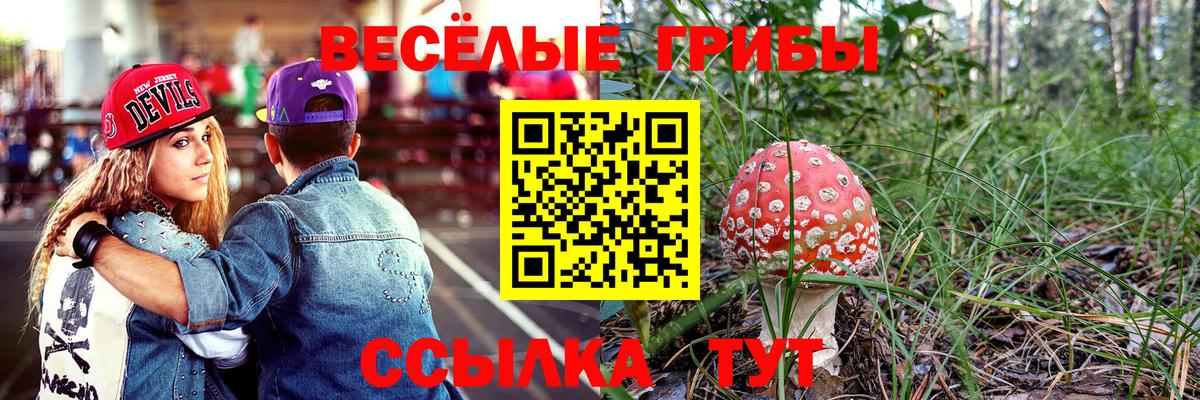 Галлюциногенные грибы GOLDEN TEACHER  Вход с VPN  Псилоцибиновые грибы Psilocybe  Новороссийск 