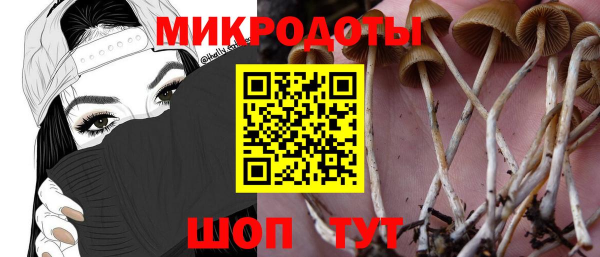 Галлюциногенные грибы ЛСД Новороссийск